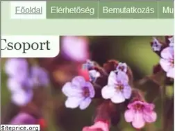 Sites similar to mentalcsoport.hu