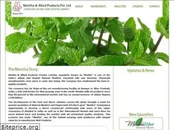 Sites similar to menthaallied.com