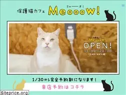 Sites similar to meooow-cat.com
