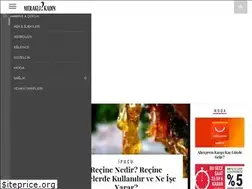 Sites similar to meraklikadin.com
