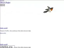 Sites similar to meraldeger.com