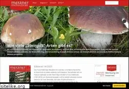 Sites similar to meraner.eu