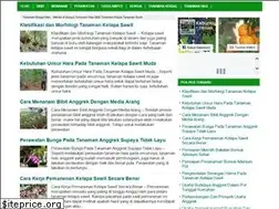 Sites similar to merawatbunga.com