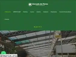 Sites similar to mercadodeflores.com.br