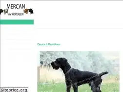 Sites similar to mercanavkopekleri.com
