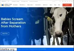 Sites similar to mercyforanimals.org