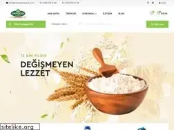 Sites similar to merguzeorganik.com