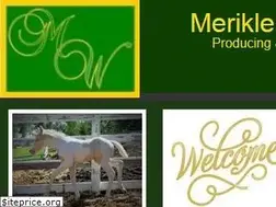Sites similar to meriklewaters.com
