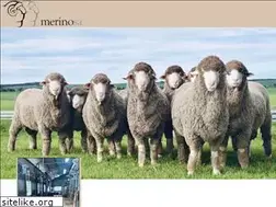 Sites similar to merinosa.com.au