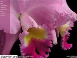Sites similar to merklesorchids.com