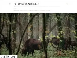 Sites similar to merojikpoland.blogspot.com