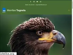 Sites similar to merrileetognela.com