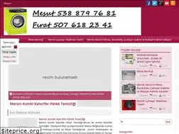 Sites similar to mersinbuzdolabitamiri.com