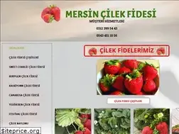 Sites similar to mersincilekfidesi.com