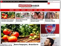 Sites similar to mersindehaber.com