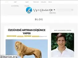 Sites similar to mertcuhadaroglu.com