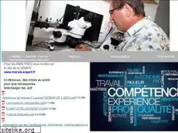 Sites similar to merule-expert.com
