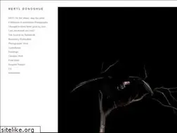 Sites similar to meryldonoghue.com