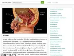 Sites similar to mesane.gen.tr