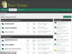 Sites similar to meseyosunu.com
