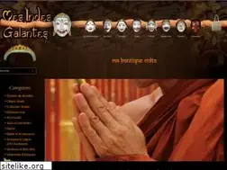Sites similar to mesindesgalantes.com