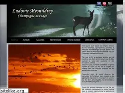 Sites similar to mesnildrey.com
