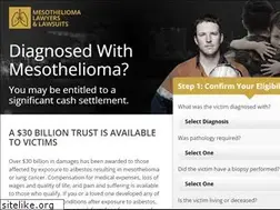 Sites similar to mesothelioma-lawyers-lawsuits.com