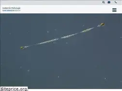 Sites similar to mesotheliomregister.de