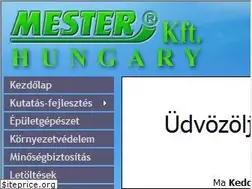 Sites similar to mester-kft.hu