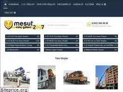 Sites similar to mesutvinc.com.tr