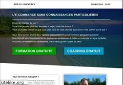 Sites similar to metaecommerce.fr