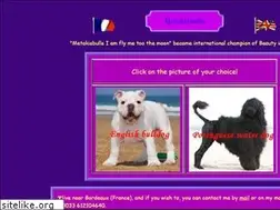 Sites similar to metakisbulls.com