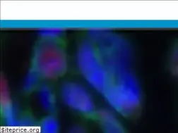 Sites similar to metastasis-research.org