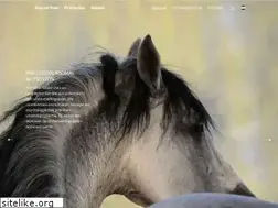 Sites similar to metazoa.nl