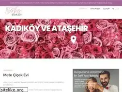 Sites similar to metecicekevi.com