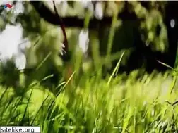 Sites similar to metiergroupe.com