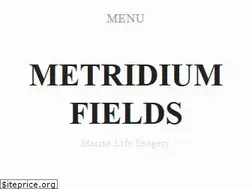 Sites similar to metridium.com