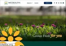 Sites similar to metrolinagreenhouses.com