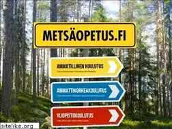 Sites similar to metsaopetus.fi