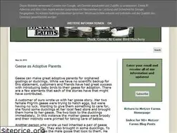 Sites similar to metzerfarms.blogspot.com