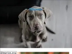 Sites similar to meufilhotebr.com