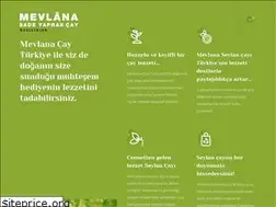 Sites similar to mevlanacay.com.tr
