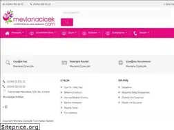 Sites similar to mevlanacicek.com
