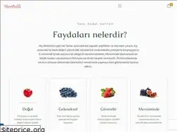 Sites similar to mevsimlik.com.tr