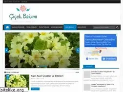 Sites similar to mevsimlikcicekbakimi.blogspot.com