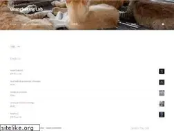 Sites similar to mewpro.cc