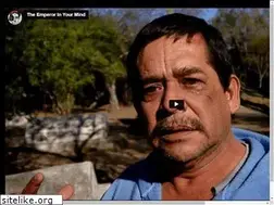 Sites similar to mexicano.com