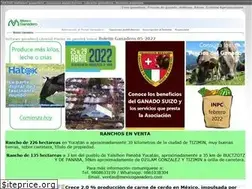 Sites similar to mexicoganadero.com