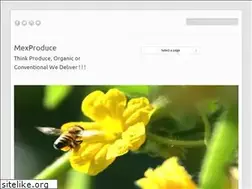 Sites similar to mexproduce.com