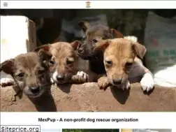 Sites similar to mexpup.com
